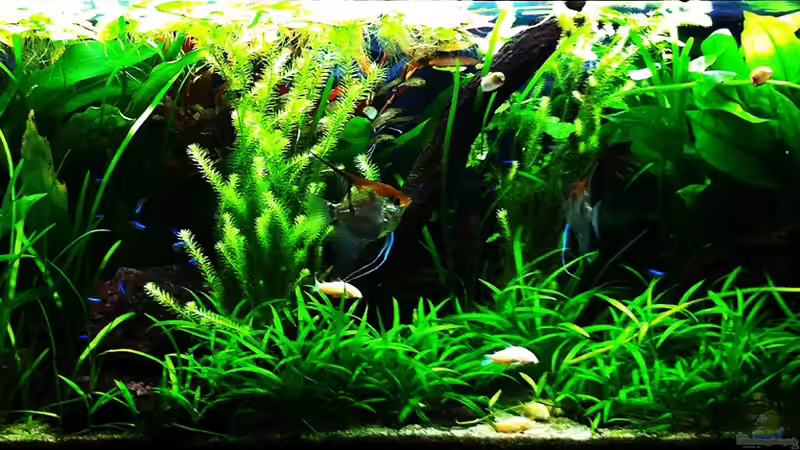 26/12/2011 von Sebastian Philipp (1)