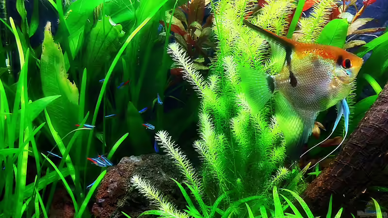 26/12/2011 von Sebastian Philipp (33)