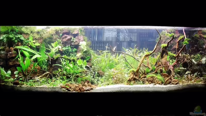 26.12.2016. Neuanfang nach Desaster von brimar67 (14)