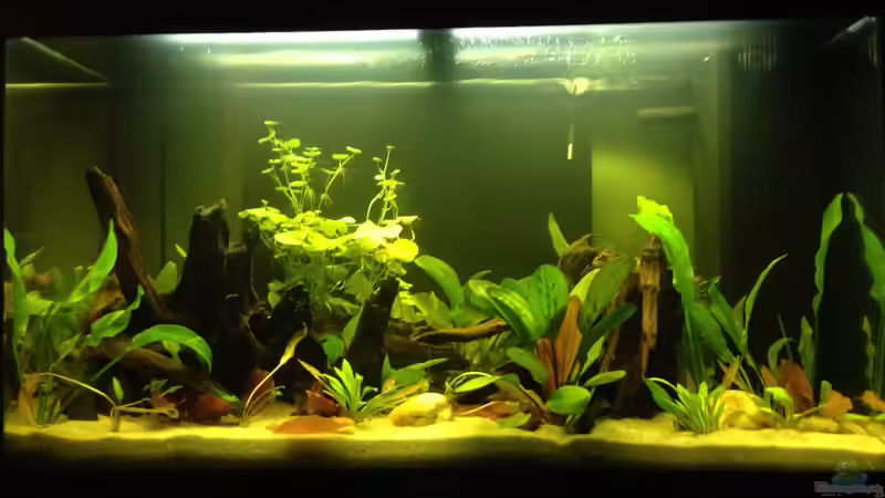 26.12.2016 von Yell0W (4)