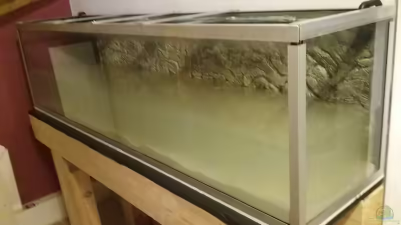 26.12.2018: Wasser marsch! von Stefano83 (8)