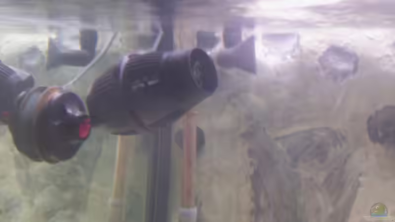 26.2.2009 von Daniel Hermans (12)