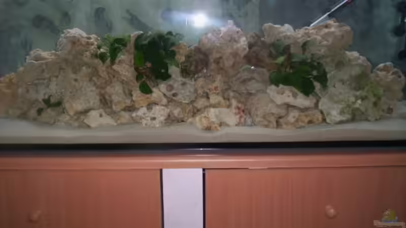 26.2.2009 von Daniel Hermans (2)