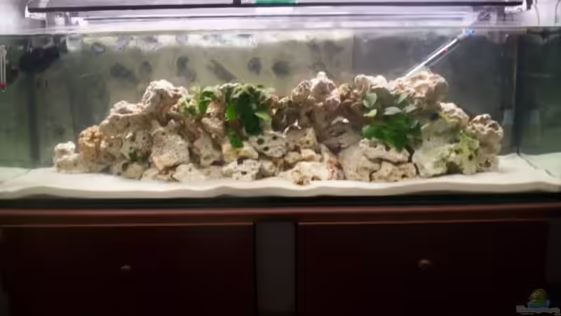 26.2.2009 von Daniel Hermans (3)