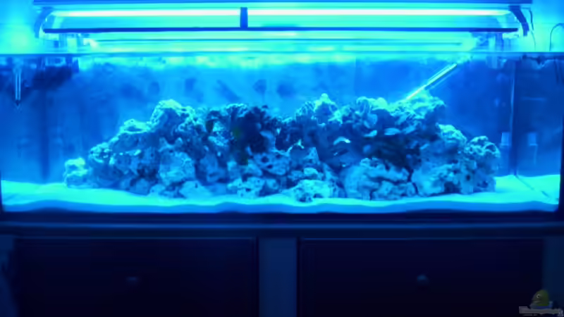 26.2.2009 von Daniel Hermans (4)