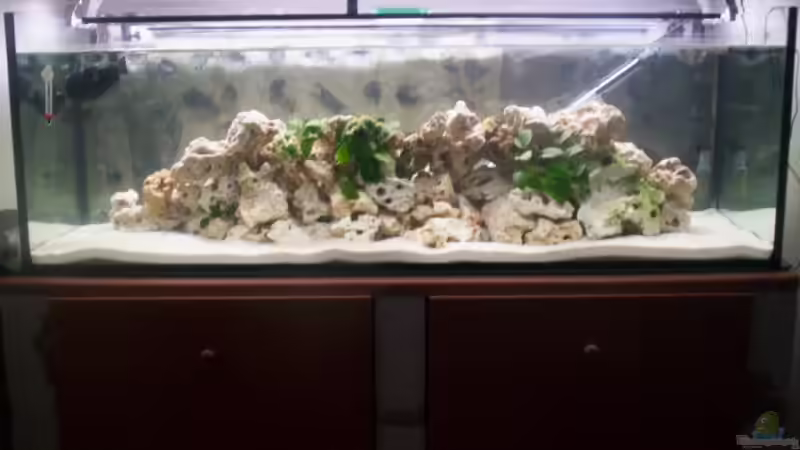 26.2.2009 von Daniel Hermans (5)