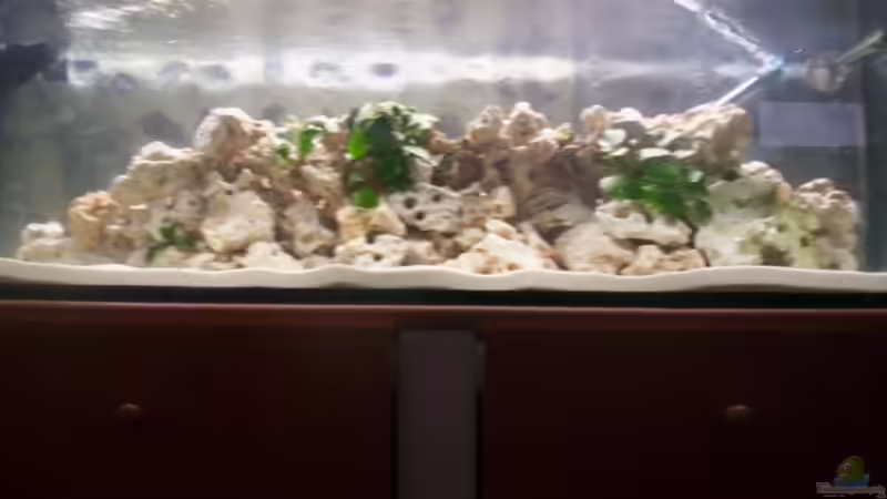 26.2.2009 von Daniel Hermans (6)