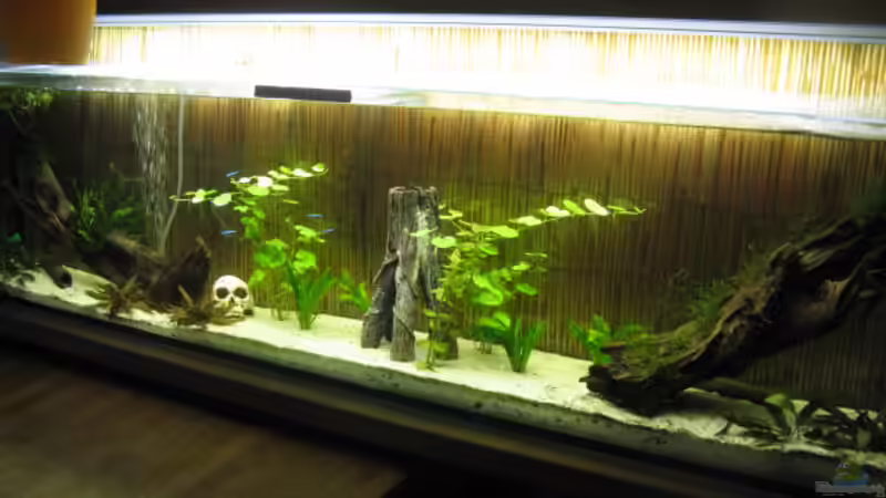 26.2.2011 von Andrea (6)