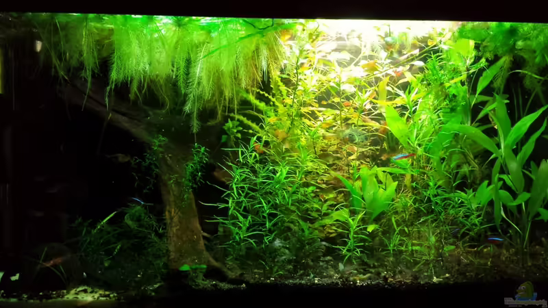 26.3.15 von NRW (17)