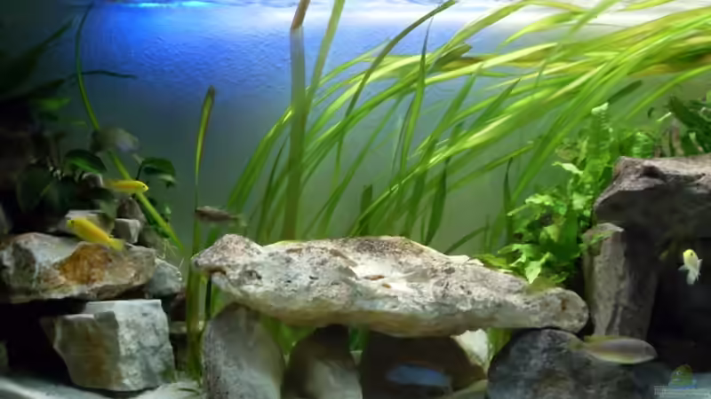 26.4.2010 Fischsuppe 2 von Mats (74)