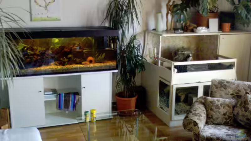 27.01.06 von Oliver Czaika (4)