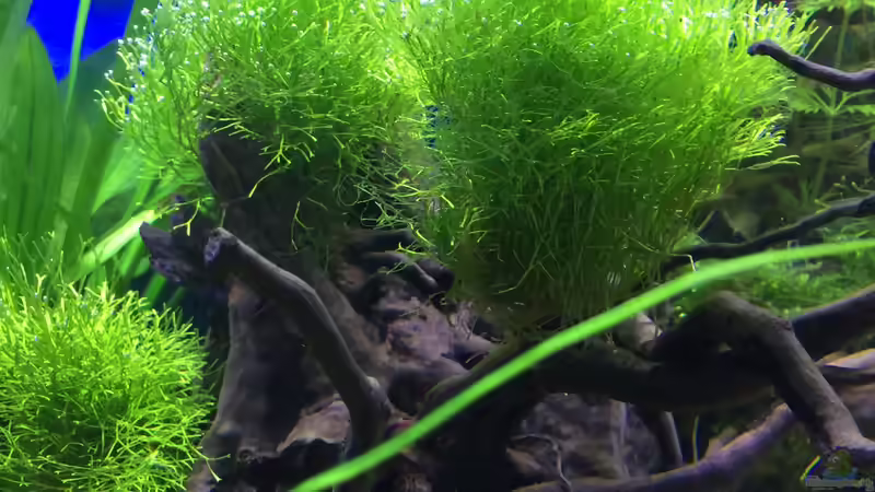 27.01.16 von .Andreas. (42)