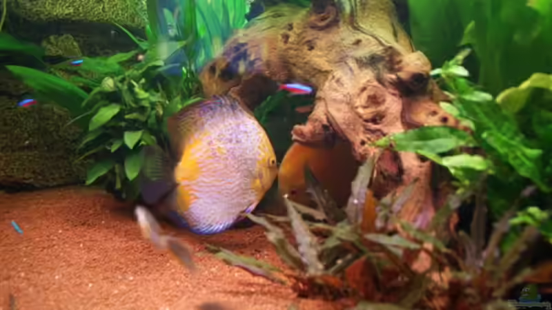 27.02.10 Ablaichhöhle von Jogi (50)