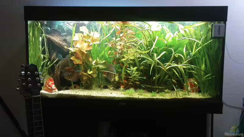 27.02.10 von Till Grote (1)