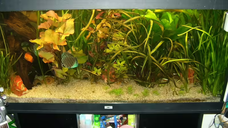 27.02.10 von Till Grote (10)