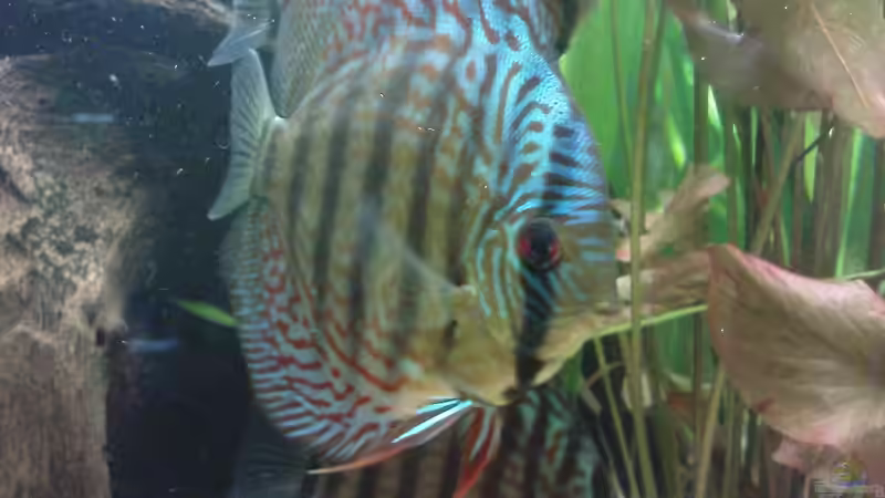 27.02.10 von Till Grote (17)