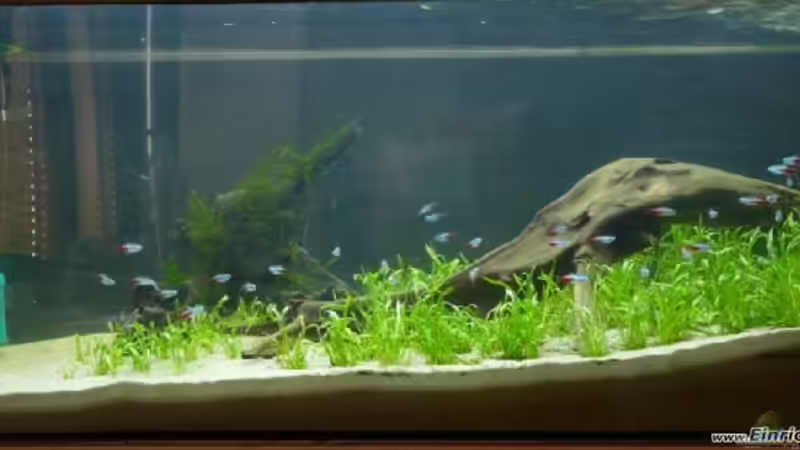 27.02.2010 von Leinad78 (3)