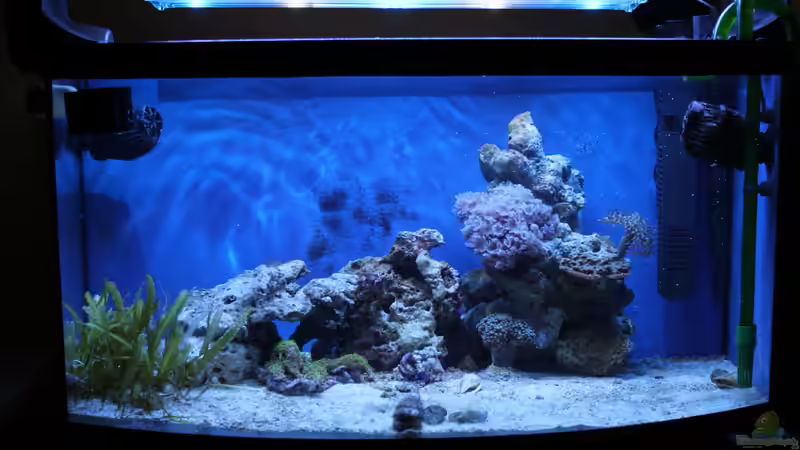 27.02.2011 von Sven K. (15)