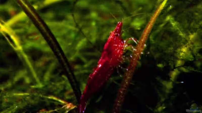 27.02.2014 von snooze (60)