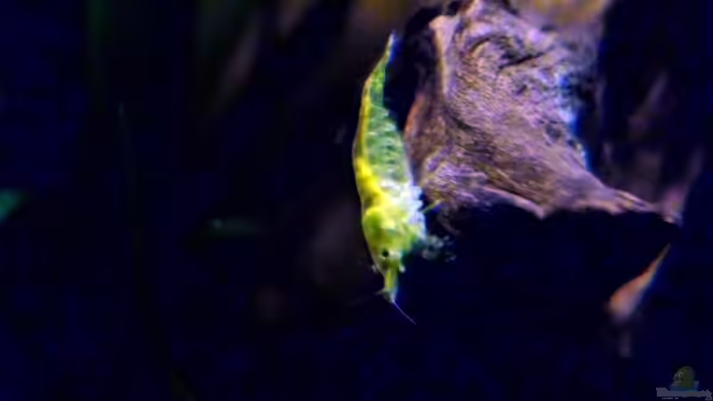 27.02.2014 von snooze (61)