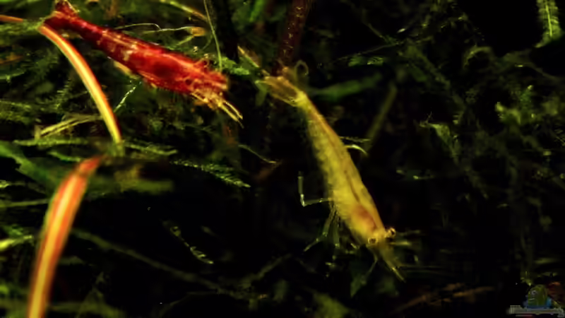 27.02.2014 von snooze (62)