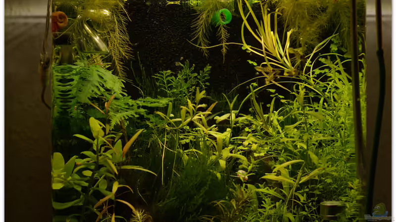 27.02.2015 von hotwheelz (8)