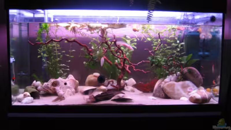 27.03.09 von Una (2)