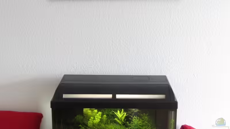 27.03.13  Standort von Gonnos (9)