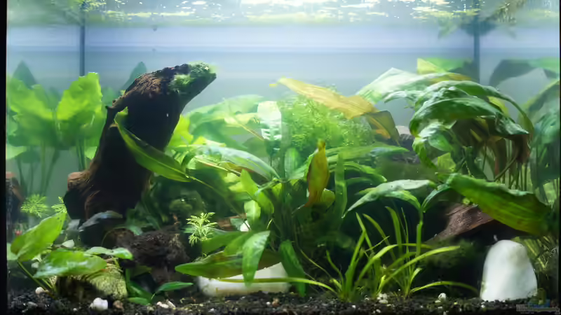 27.03.19 von Bartey (2)