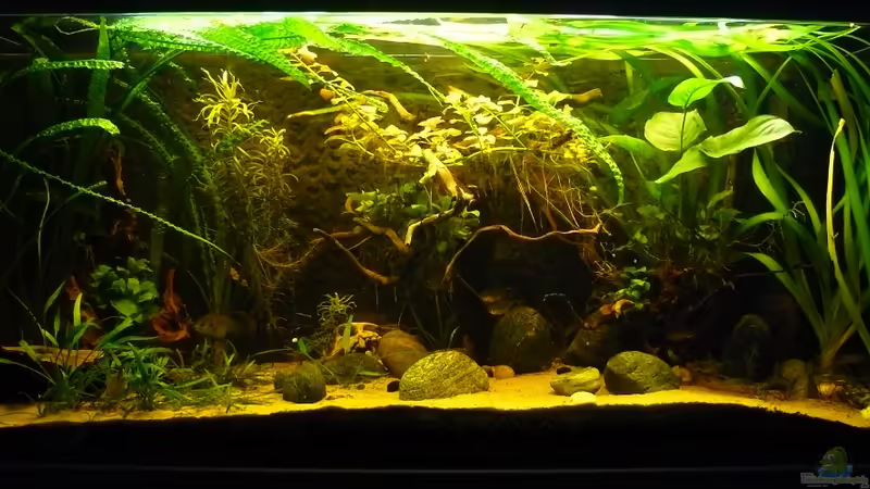 27.03.2011 von Romulus71 (1)