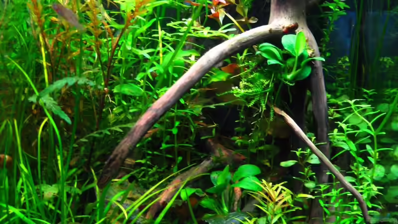 27.03.2014 von Nanu (15)