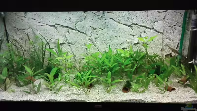 27.04.09 von Till Grote (2)