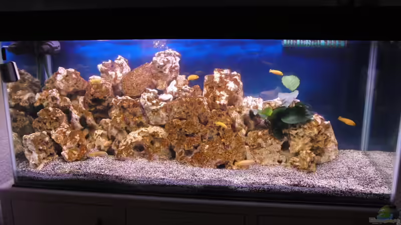 27.04.2012 von Miese97 (2)