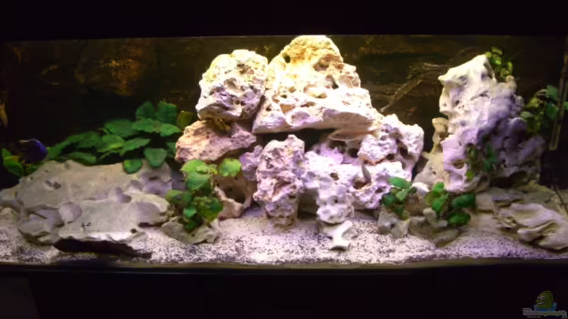 27.05.2007 von Dominic Zuccarelli (1)