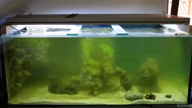 27.05.2010 von Stephan Ascher (40)