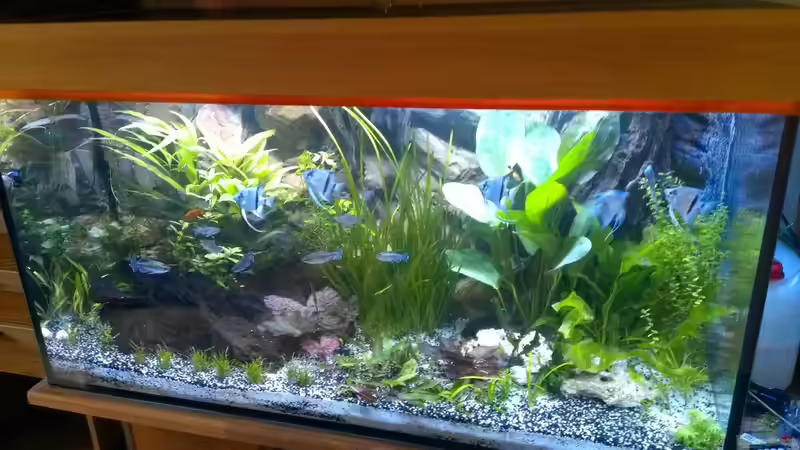 27.05.2014 von raubsau (24)