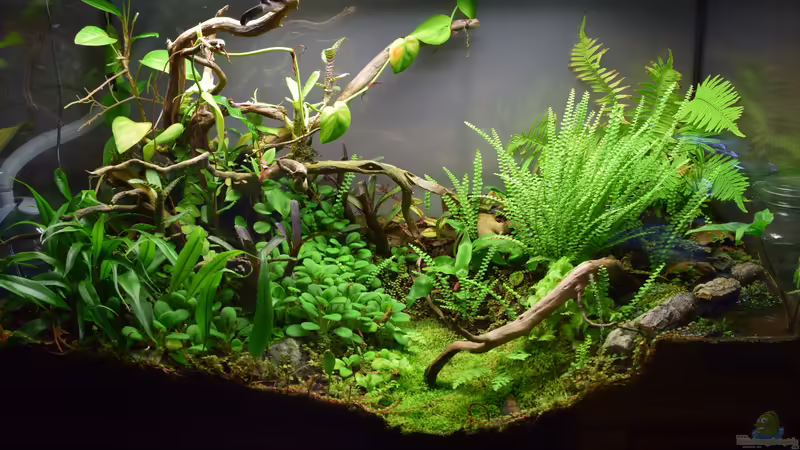 27.05.2019 von Junglist (10)