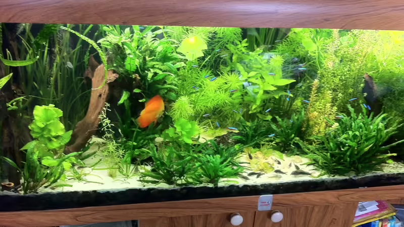 27.06.2014 von signo (36)