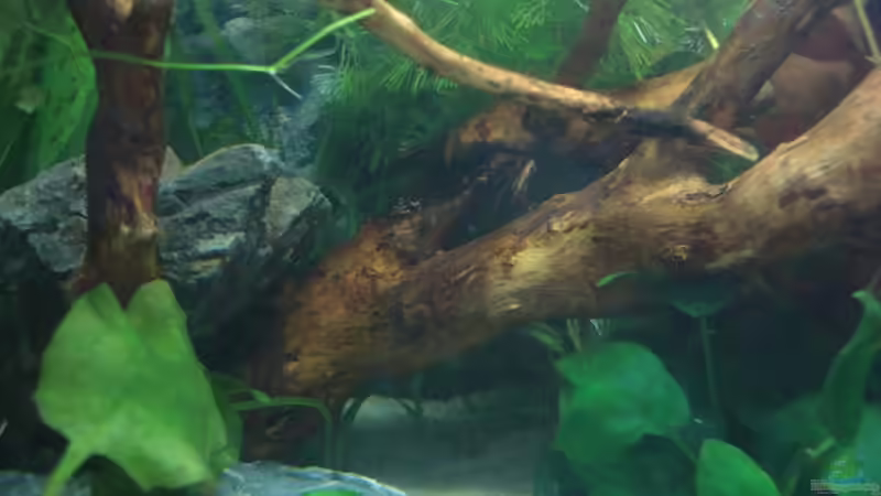 27.07.09 von Laura (10)