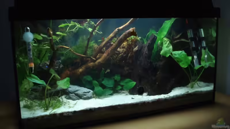 27.07.09 von Laura (8)