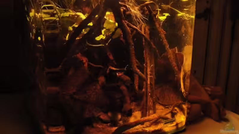 27.07.12 von Laura (6)