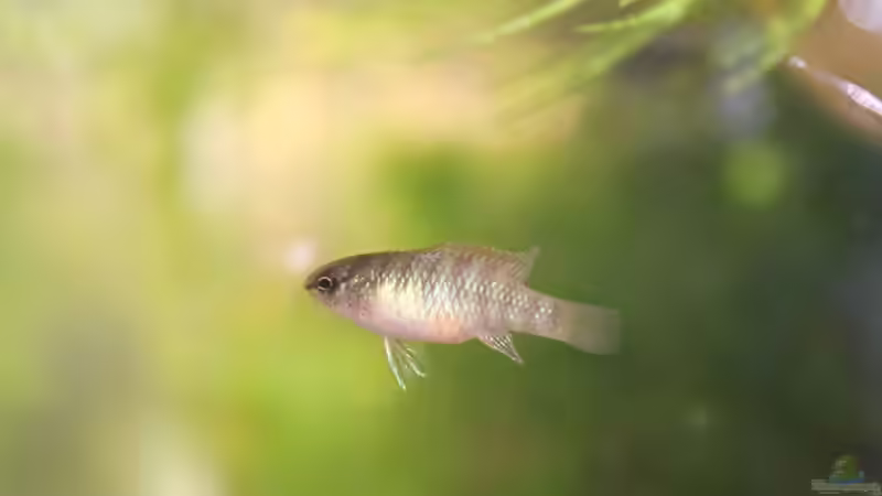 27.07.2016 von Laufilauf (50)