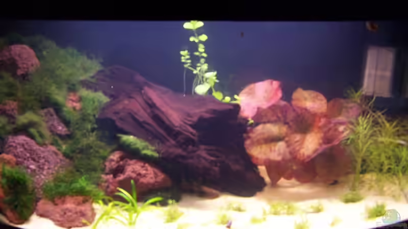 27.09.2008 von Dani B (6)