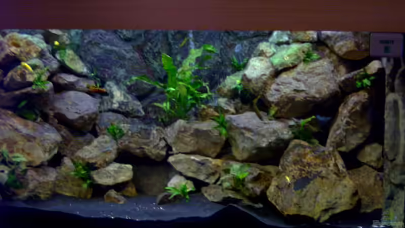 27.10.06 von Robert Dietrich (6)