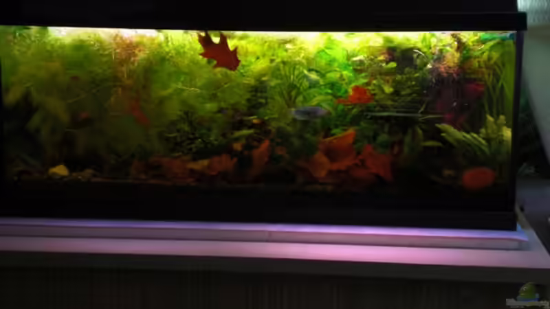 27.10.08 von Dominik (10)