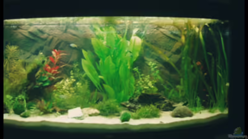 27.10.2008 von Michaela (21)