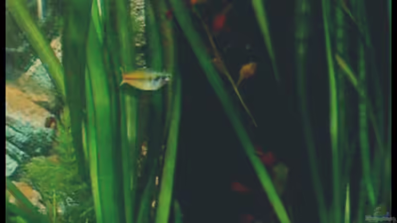 27.10.2008 von Michaela (23)