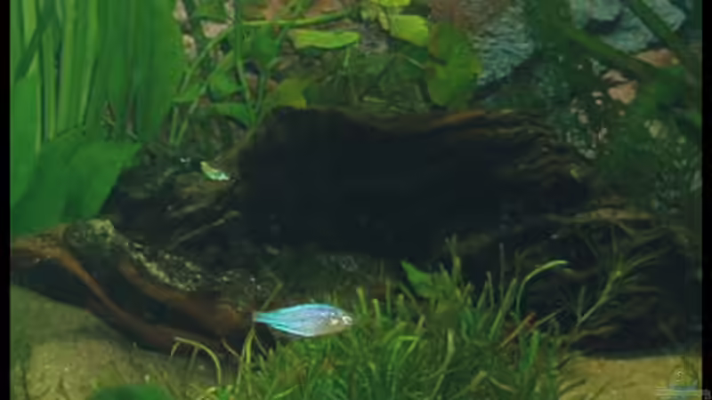 27.10.2008 von Michaela (24)