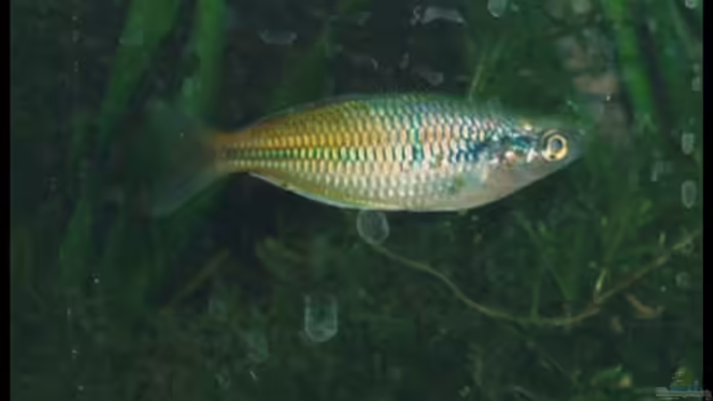 27.10.2008 von Michaela (25)