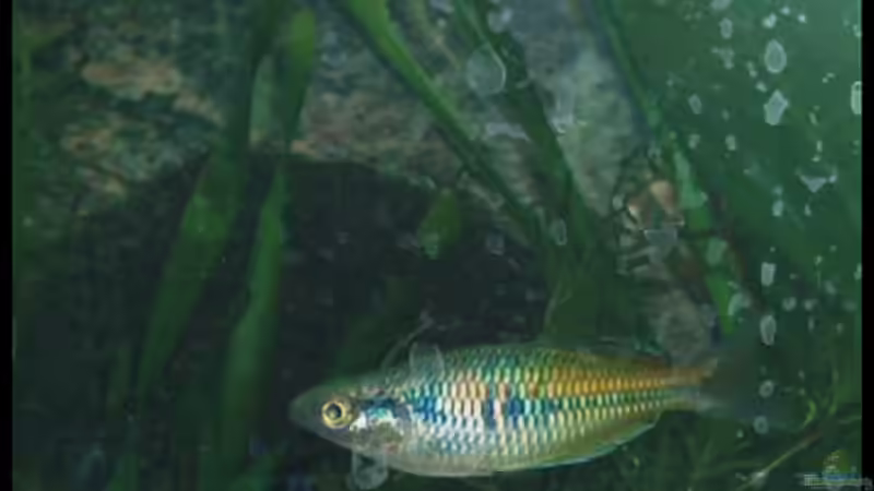 27.10.2008 von Michaela (26)